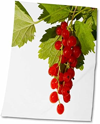 אשכול 3 של פירות יער דומדמניות אדומות, עלים על לבן, הוסף טקסט בהתאמה אישית - מגבות
